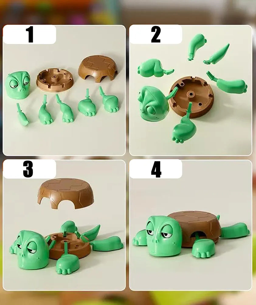 Turtle Coaster